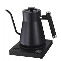 ELECTRIC POUR-OVER KETTLE